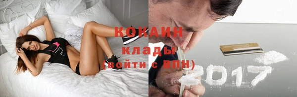твердый Алексин
