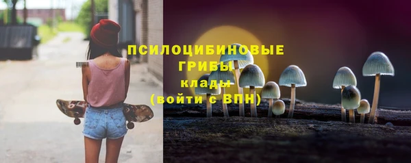 твердый Алексин