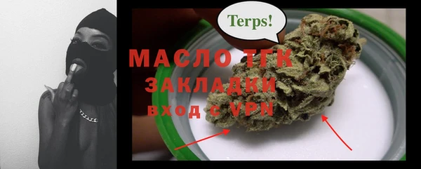 индика Зеленодольск