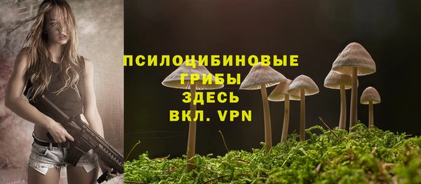 твердый Алексин