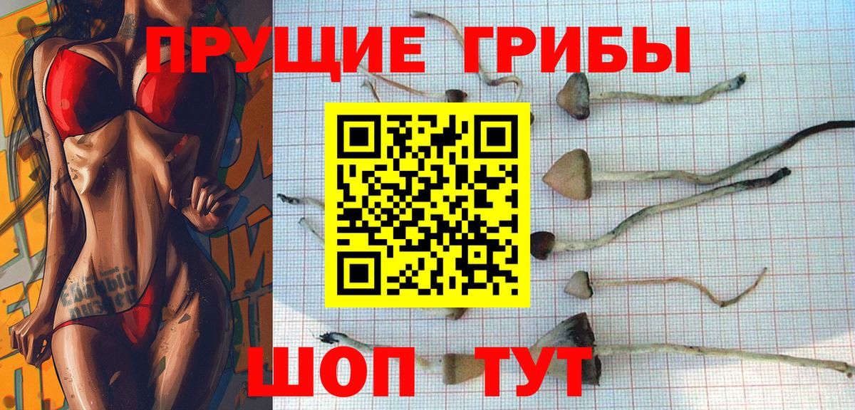 Галлюциногенные грибы Cubensis  Вход с VPN  Шахты  Галлюциногенные грибы Psilocybine cubensis 